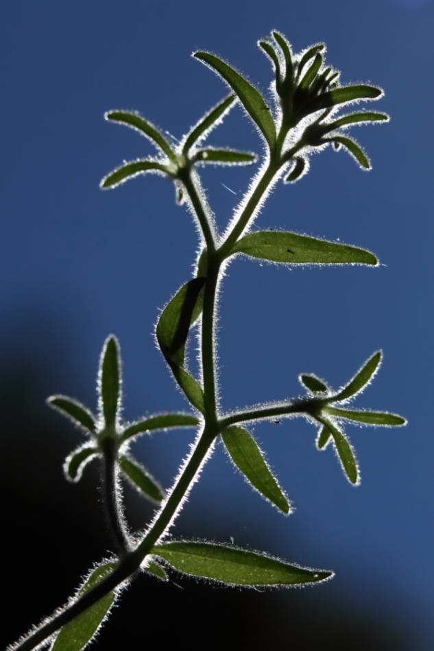 2013 08 05 HTP 01792